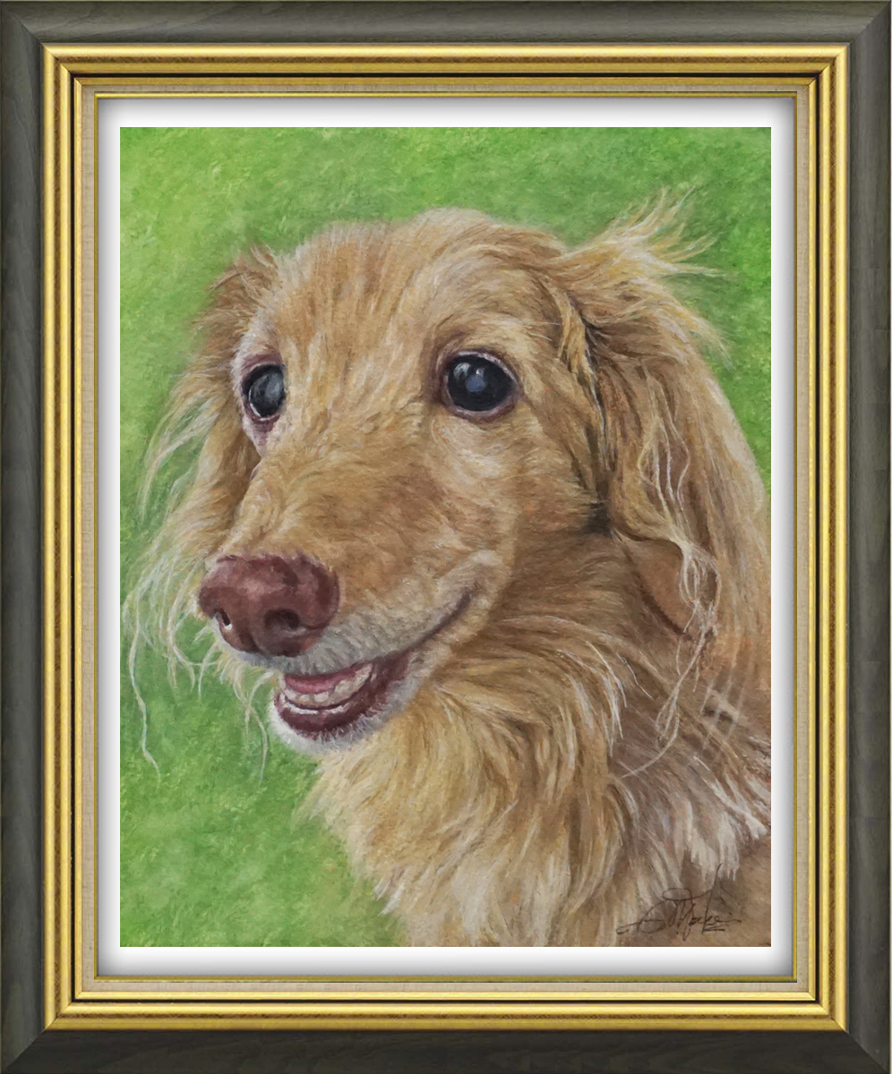 水彩ペットの絵