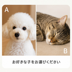 オンラインレッスンサンプル写真